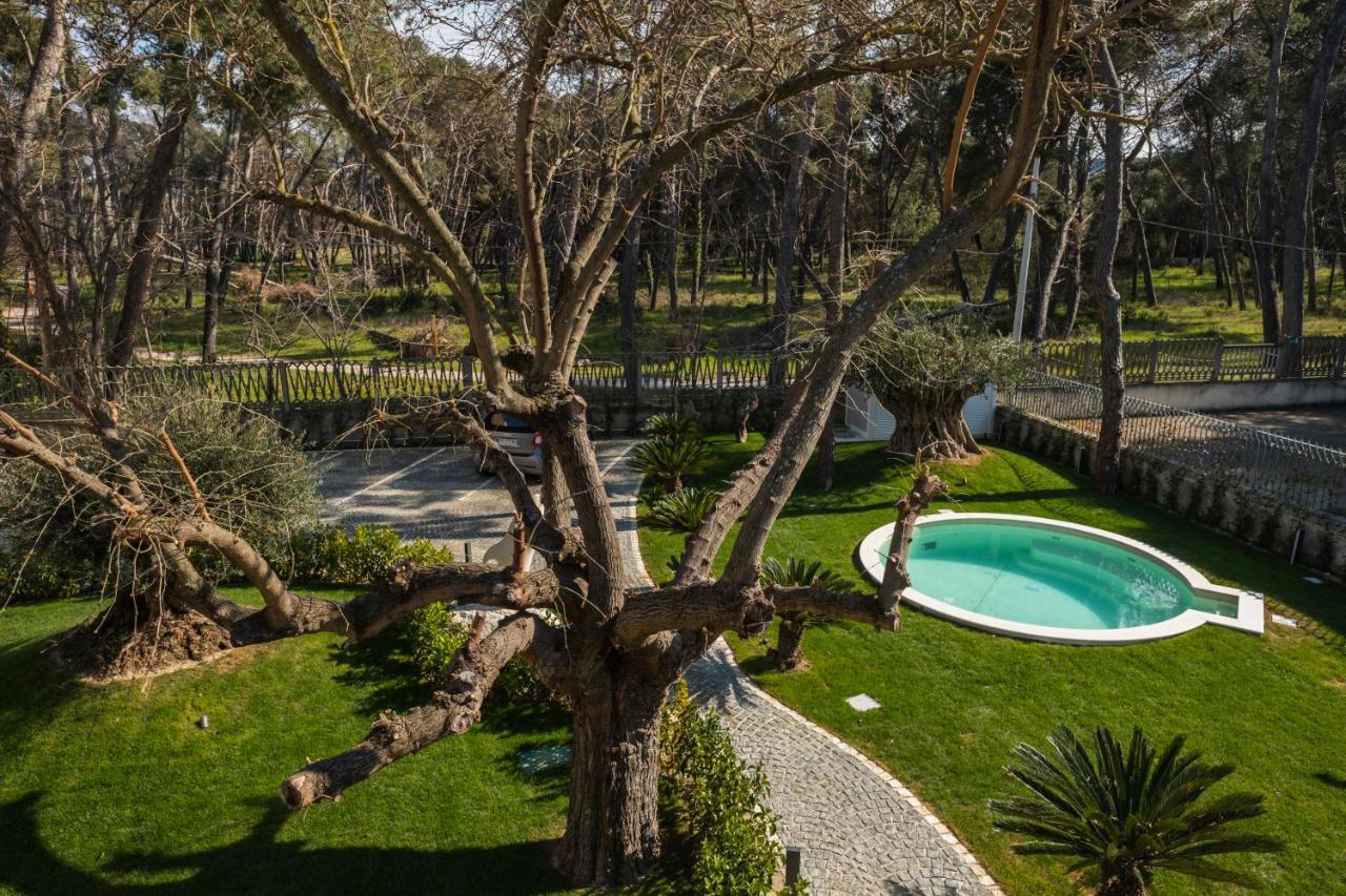 Luxury B&B La Riserva Dannunziana Pescara Exterior photo